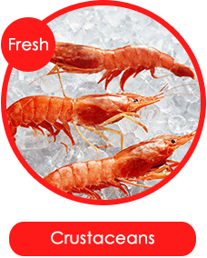 Crustaceans