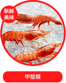 甲殼類