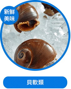 貝軟類