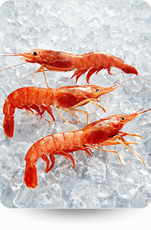 Crustaceans