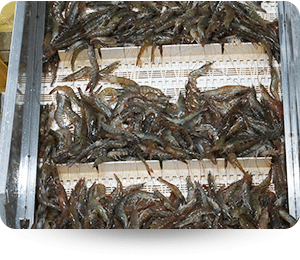 作業照片9